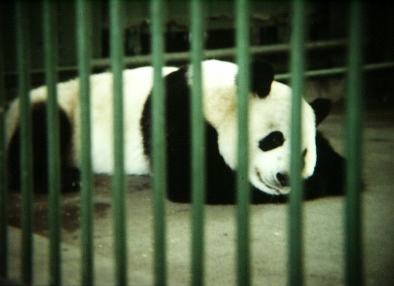 ภาพทัวร์เฉินตู